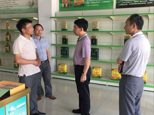 BC贷网址入口,油茶种植出产加工销售,植物油种植出产加工销售