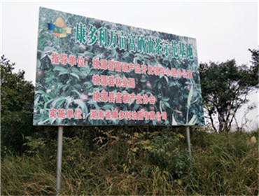 BC贷网址入口,油茶种植出产加工销售,植物油种植出产加工销售