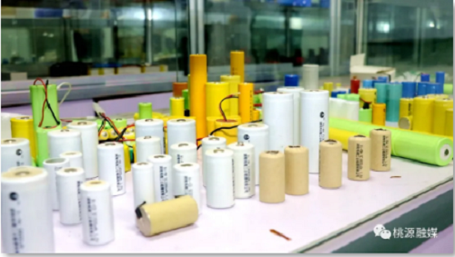 BC贷网址入口,油茶种植出产加工销售,植物油种植出产加工销售